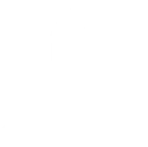 Interrogate icon